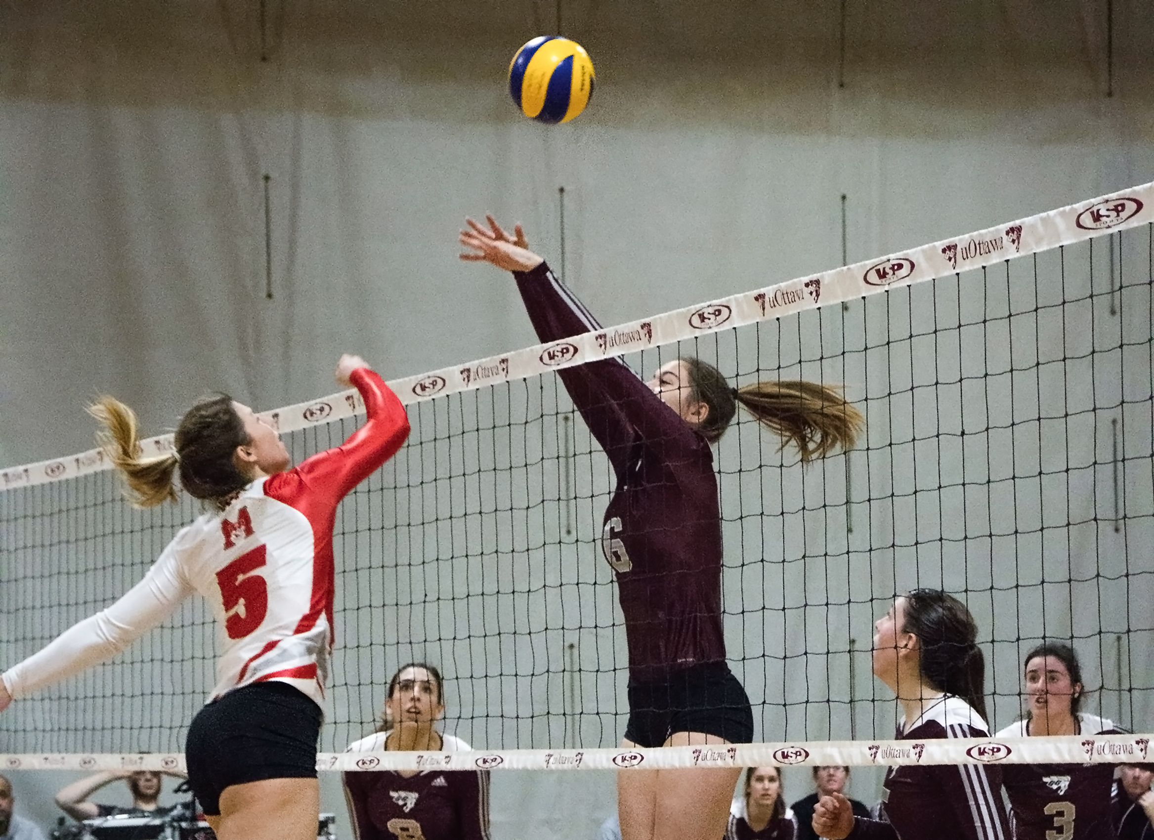 Women's volleyball makes epic comeback against Sherbrooke - The Fulcrum