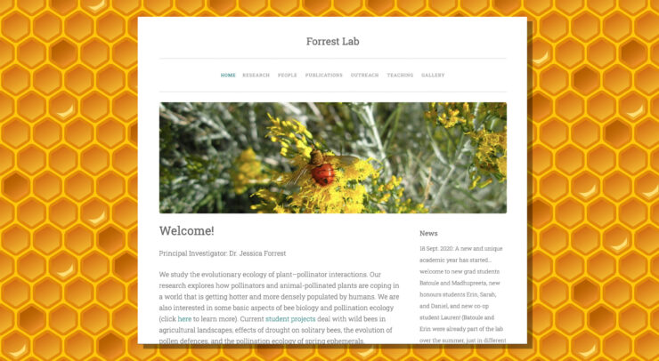 The home page of Dr.Forrest website