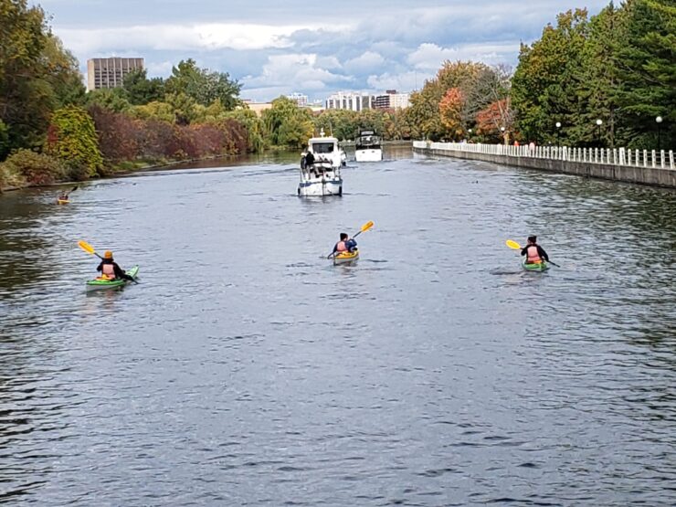 The kayakers paddling in the Rideau Canal