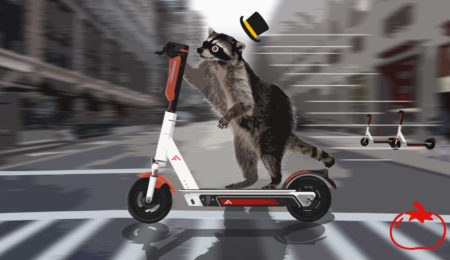 Raccoon riding a scooter