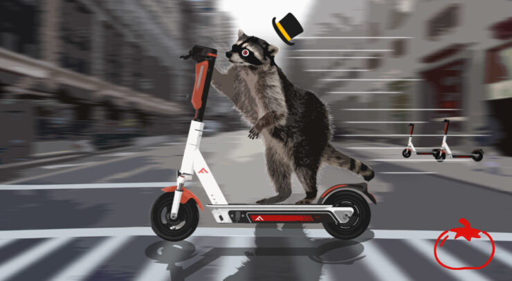 Raccoon riding a scooter