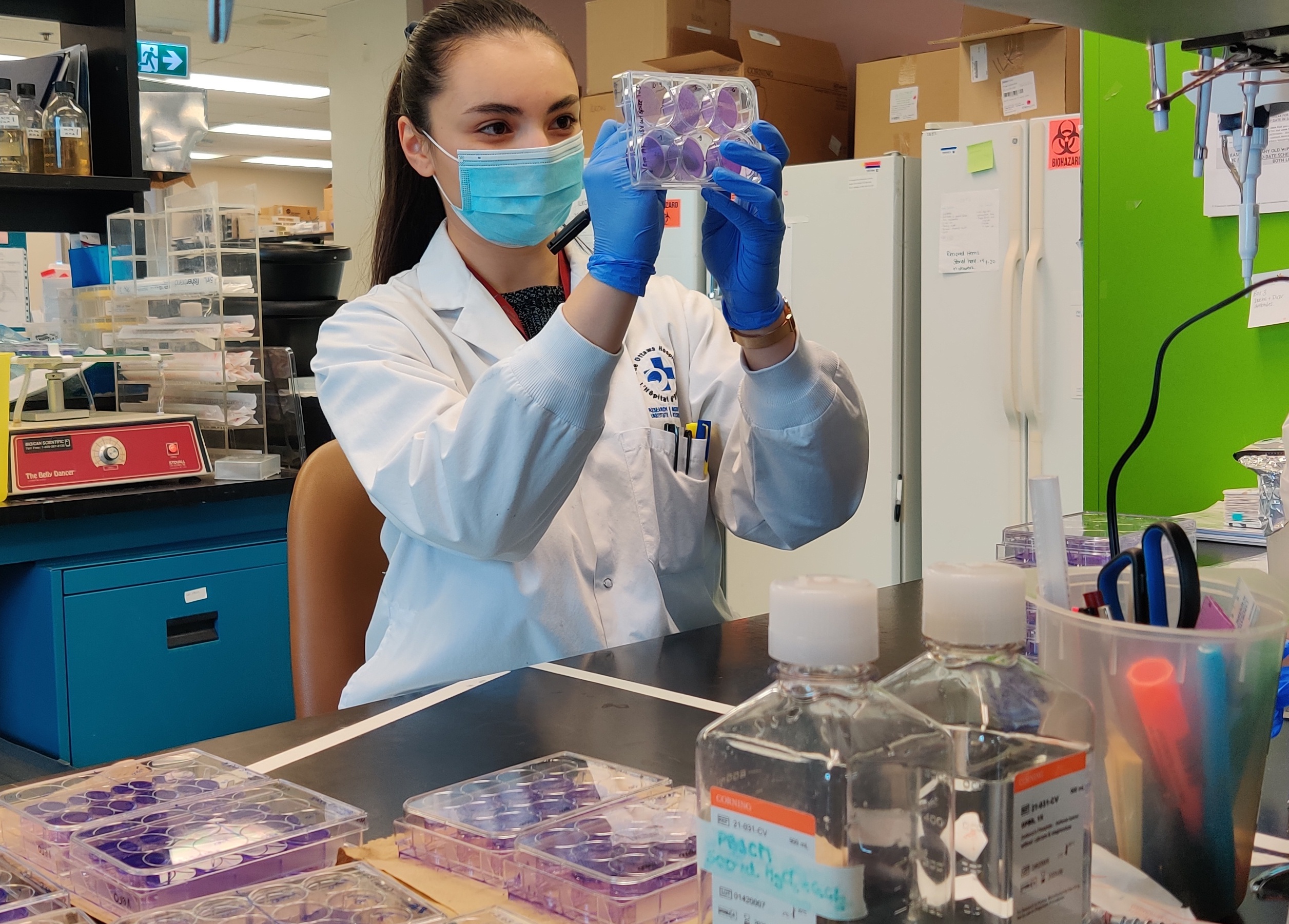 Taylor Jamieson-Datzkiw