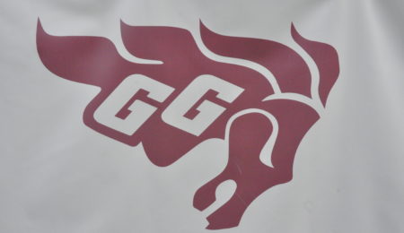 Gee-Gees logo