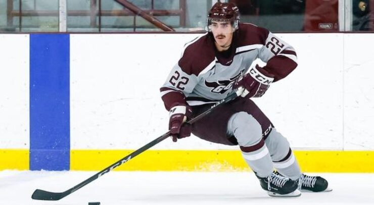 geegees player with puck