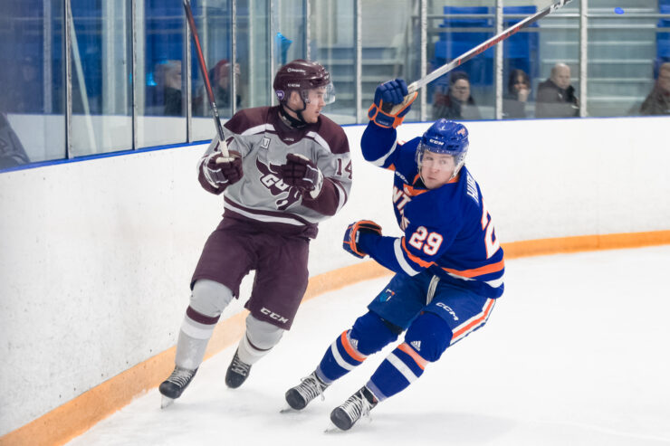 gee-gees player behind the net with ridgebacks player