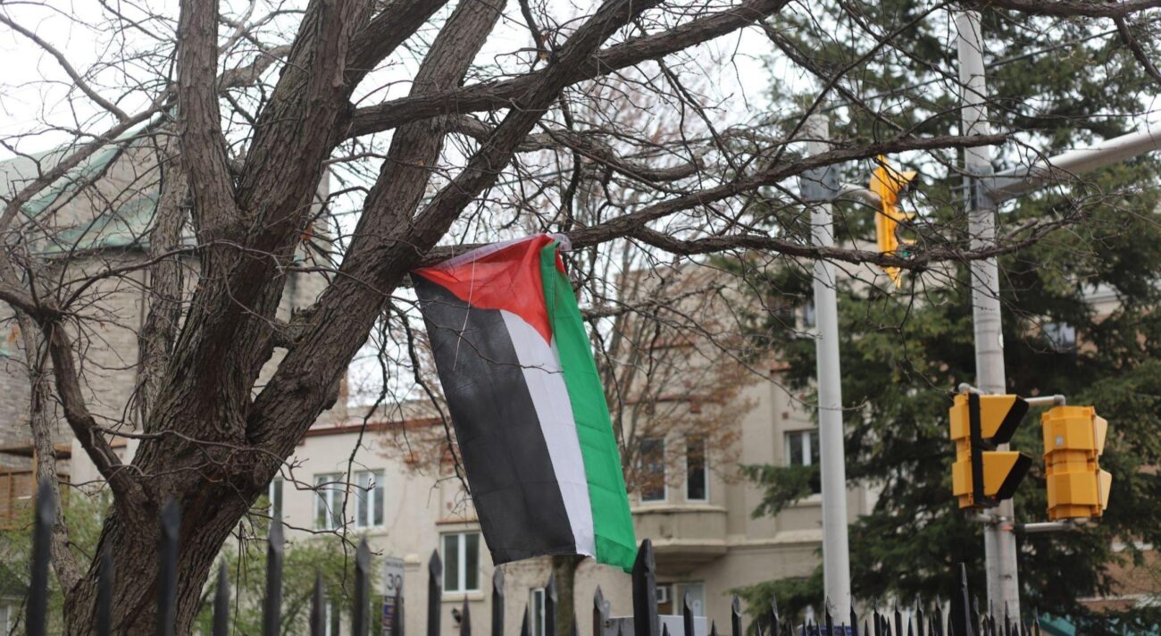 Palestinian flag hanging from tree