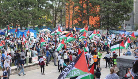 A crowd of protestors with Palestinian flags stand on Tabaret Lawn