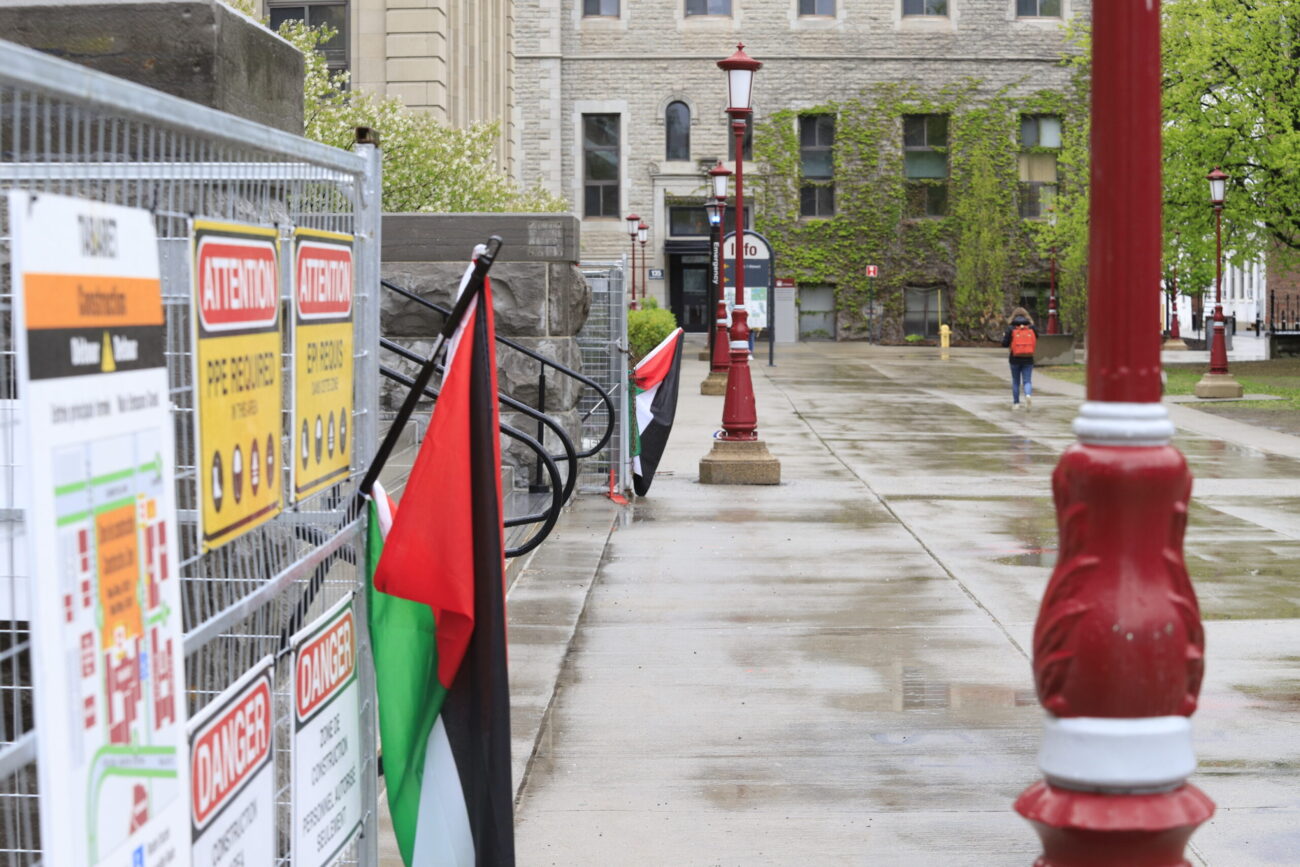 Palestinian flags