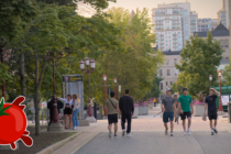 A photo of people walking across a university campus with a tomato logo in the corner