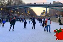 speed cameras on the rideau canal