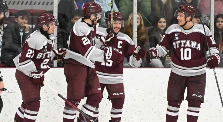 geegees hockey celebrates after a goal