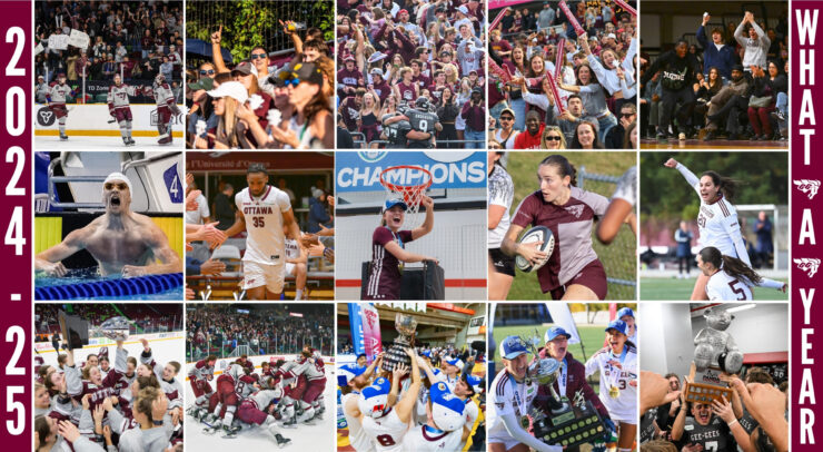 gee-gees