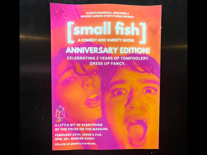 An image of the Small Fish Show's poster.