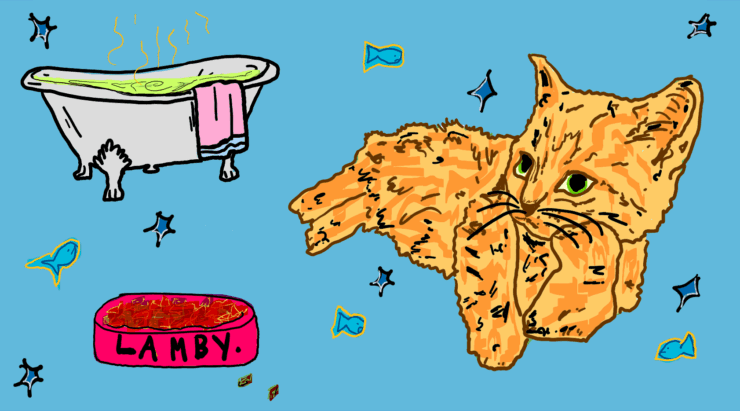 A graphic of a cat, food bowl, and bath, drawn by The Fulcrum's staff writer Bhoomi.